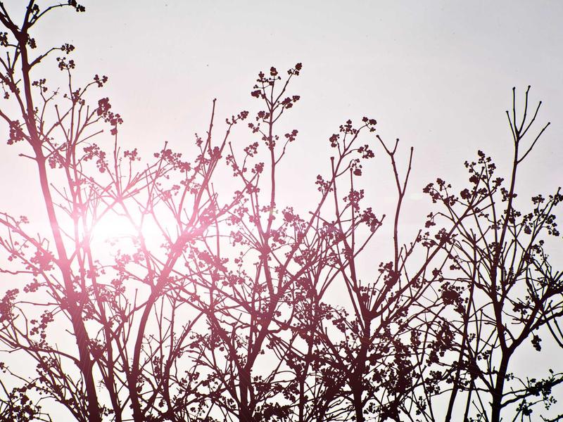 sudoku puzzle game screenshot 4