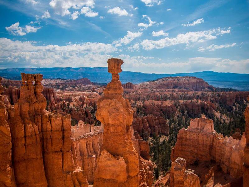 android screenshot 6